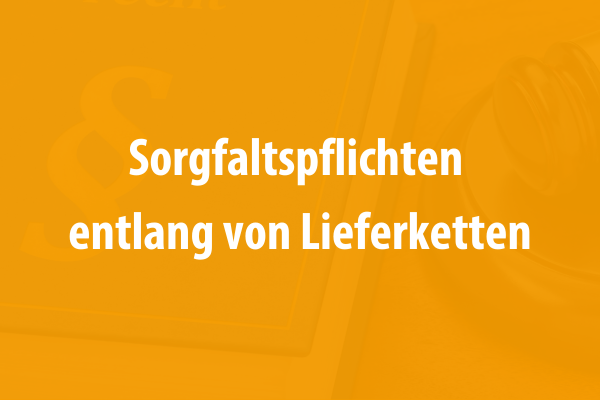 Sorgfaltspflichten entlang von Lieferketten